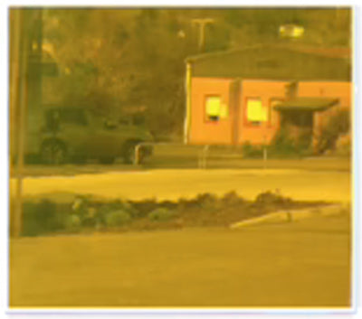 Dark Goldenrod Transparent Yellow Coloured Strip Curtains (Hook-on)