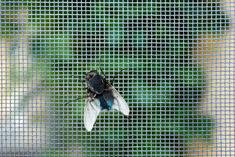 Dark Slate Gray Ultimate Fly Screen Mesh Protection Against Birds, Wasps & Flies