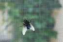 Dark Slate Gray Ultimate Fly Screen Mesh Protection Against Birds, Wasps & Flies
