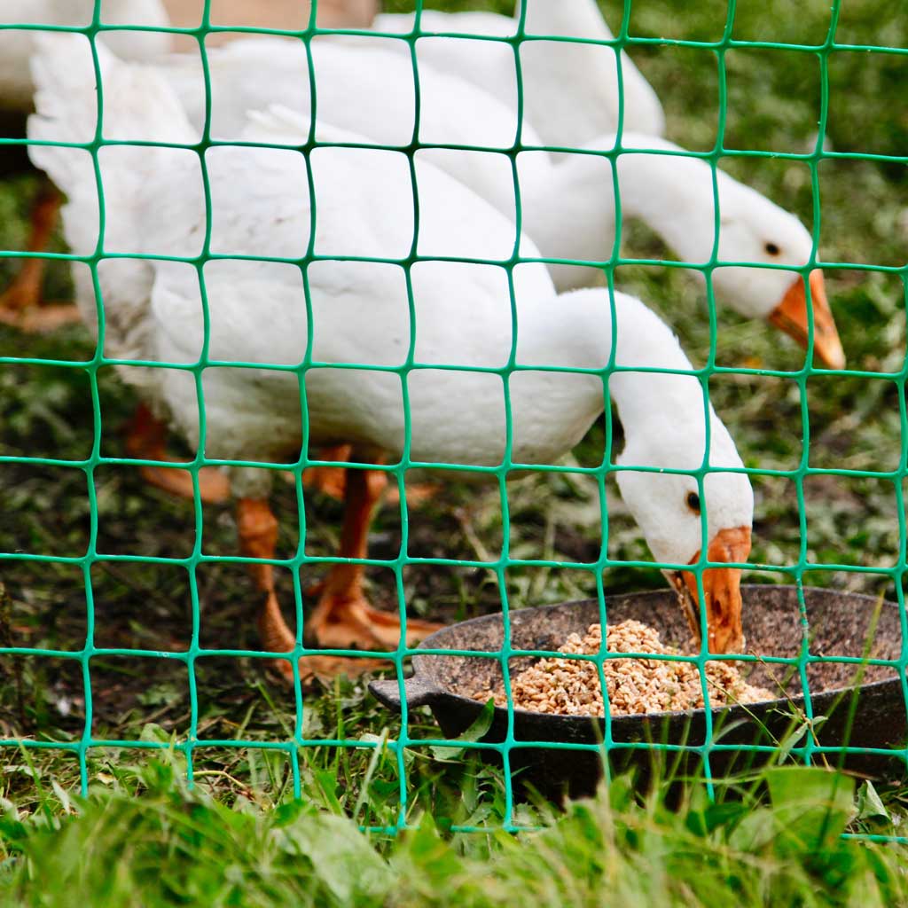 Dark Olive Green Multi-Purpose Flexible Square Garden Mesh 50mm