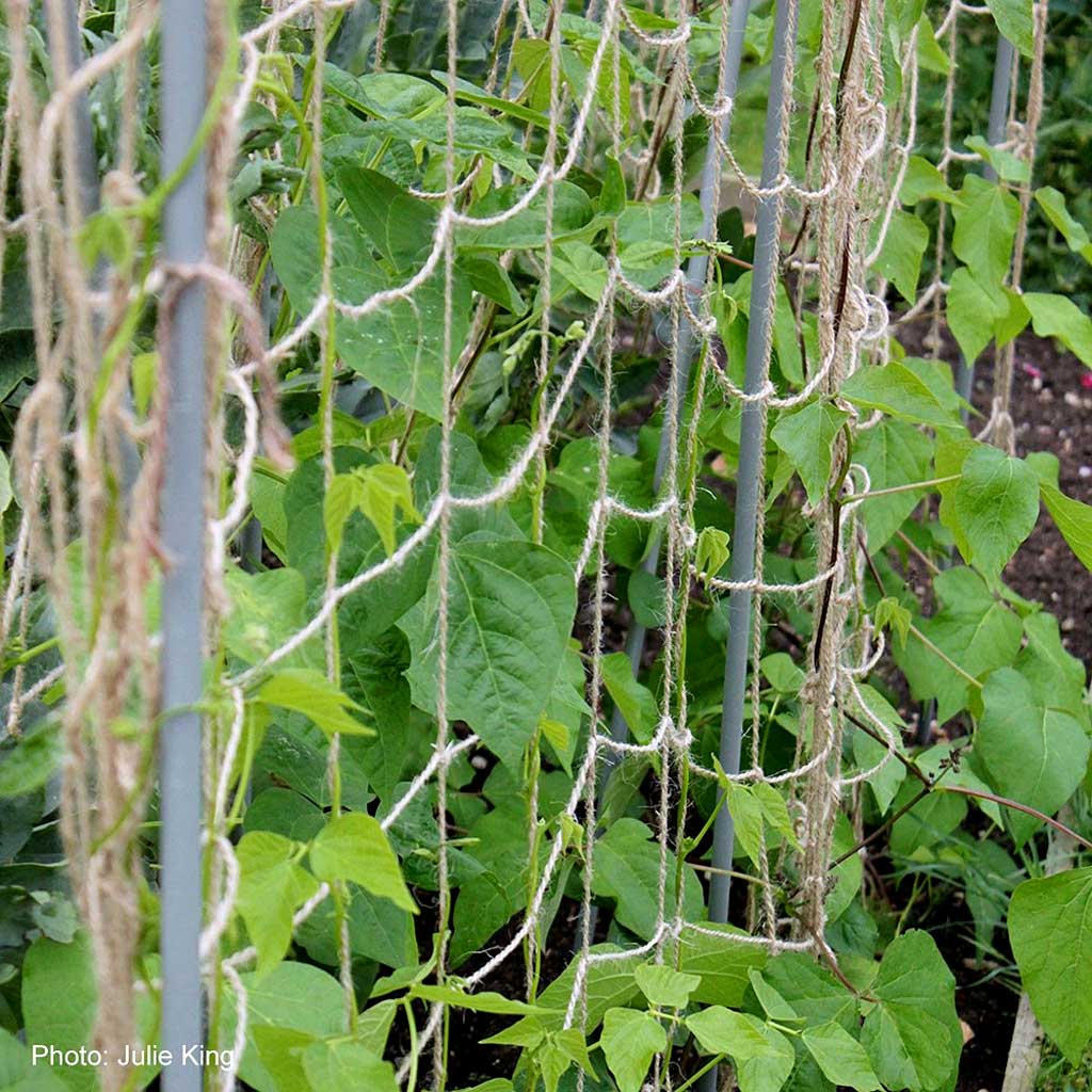Dim Gray Eco-Friendly Jute Plant Support Netting Sustainable Climbing Support For Your Garden