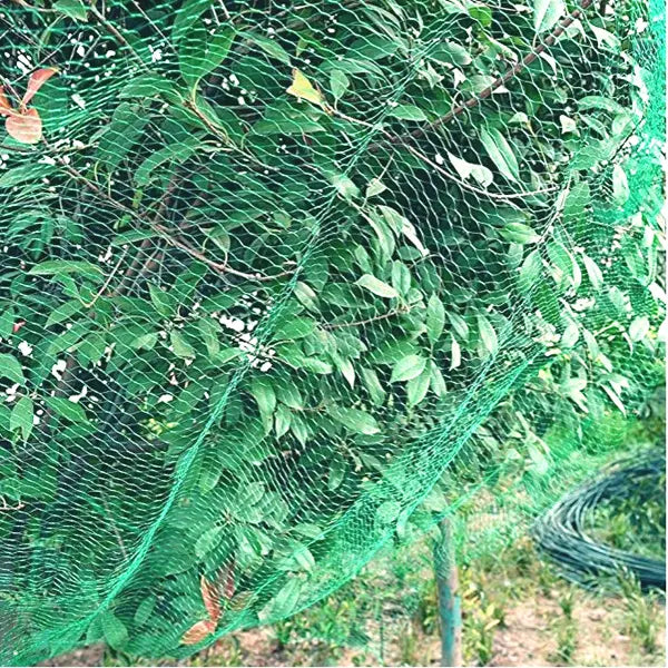 Sea Green UV-Stabilised Extruded Plant Support Netting Durable & Rot-Proof
