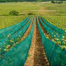 Sea Green Monofilament Shade/Windbreak Net 50% Protection Against Wind and Frost