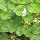 Olive Drab Premium PN2 Bird Netting Double Knitted High Tensile HDPE Monofilament