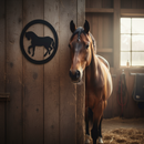 Dark Slate Gray Premium Heavy Duty Horse Feature Profile 435mm x 355mm x 5mm for Versatile Applications