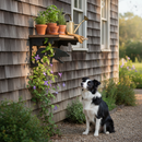 Dim Gray Premium Border Collie Silhouette Decoration 230mm x 175mm - Ideal for Home or Garden