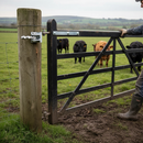 Dark Slate Gray Premium Galvanised Gate Hanging Pin with Simple Stabilising Attachments for Secure Gate Installation