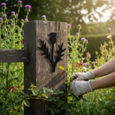 Black Premium Scottish Thistle Silhouette Artwork - Approx 170 x 210mm for Home Decor - High-Quality Professional Grade for Industrial and Commercial App...