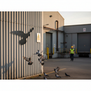 Rosy Brown Premium Kestrel Silhouette Measuring 250 x 175mm for Precision Applications - High-Quality Professional Grade for Industrial and Commercial Applica...