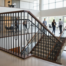Light Gray Premium 16mm Diameter Round Hollow Bar Double Oval Panel with Powder Coated Finish and Dimensions of 1117mm Height and 98mm Width