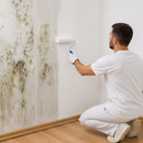 Light Gray Anti Mould Paint for Walls & Ceilings | Moisture Resistant, Scrubbable White Paint