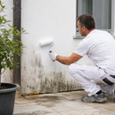Lavender Anti Mould Paint for Walls & Ceilings | Moisture Resistant, Scrubbable White Paint