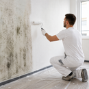 Light Gray Anti Mould Paint for Walls & Ceilings | Moisture Resistant, Scrubbable White Paint
