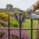 Lavender Premium Large Scottish Thistle 200 x 250mm 3mm Thick Grey Iron Cast Product - High-Quality Professional Grade for Industrial and Commercial Applica...