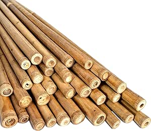 Dark Khaki High Quality Premium Bamboo Canes Sustainable Plant Supports - 210cm