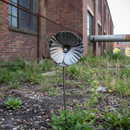Dim Gray Premium Metal Poppy Flower on Stem 315 x 70mm - Raw Mild Steel Finish for Home and Garden Decor
