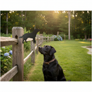 Dark Slate Gray Premium Labrador Silhouette 240mm x 175mm - Decorative Home Accent - High-Quality Professional Grade for Industrial and Commercial Applications