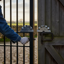 Dark Slate Gray Premium Ornate Gate Plate 260mm x 125mm - Versatile Design for Any Side Installation