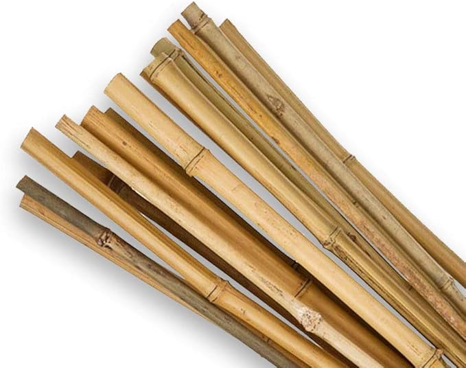 Dark Khaki High-Quality Bamboo Canes For Plant Support 150cm x 10-12mm