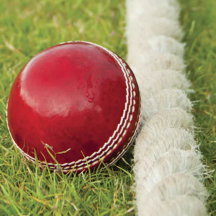 Dim Gray Durable & Long-Lasting Cricket Boundary Rope for Every Field