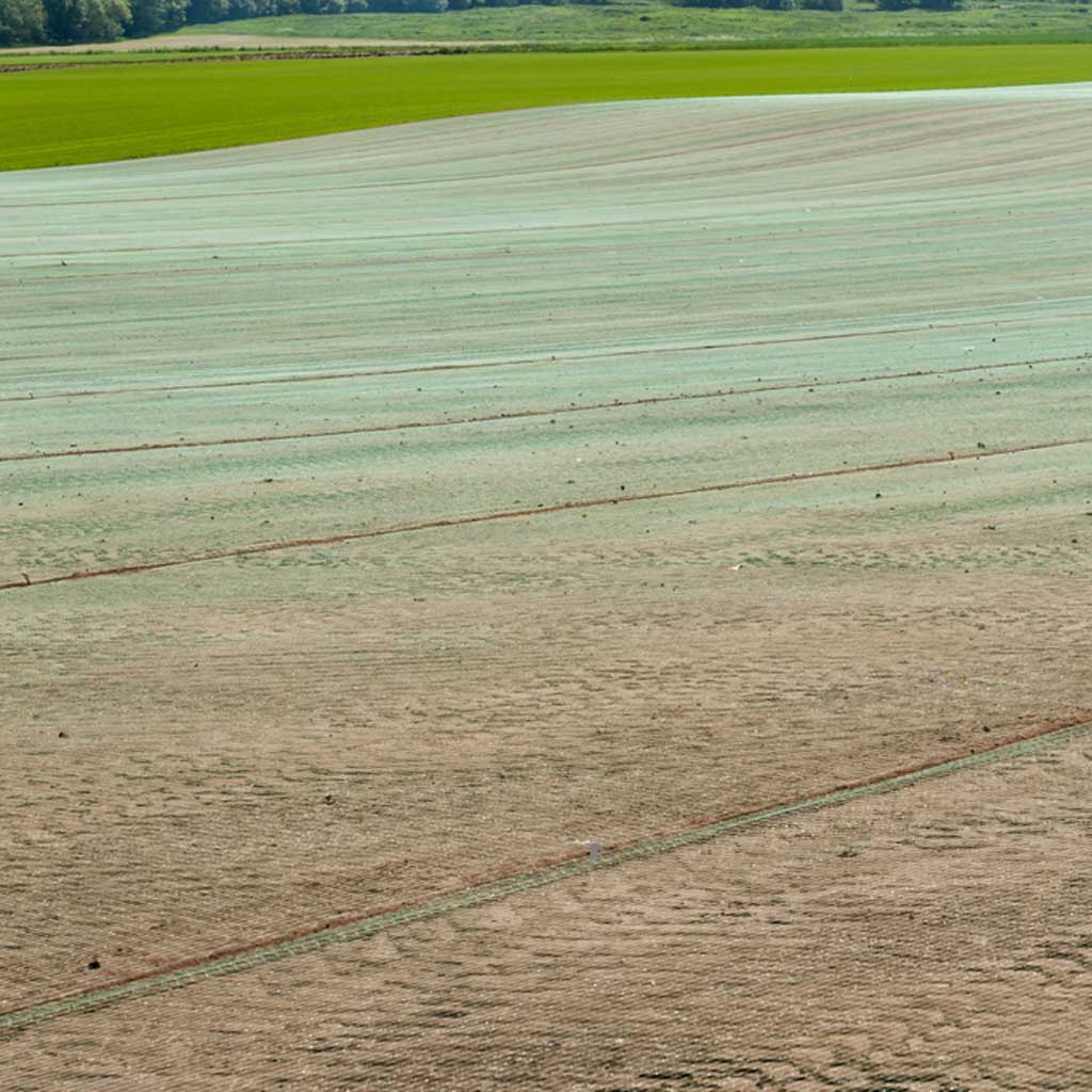 Rosy Brown Cultivation Netting The Key to Thriving Turf and Wildflower Grass