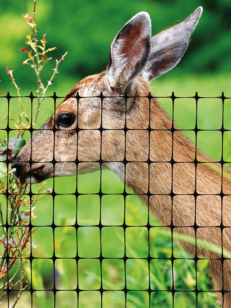 Dark Khaki High Tensile Deer Fence Mesh For Effective Containment and Exclusion