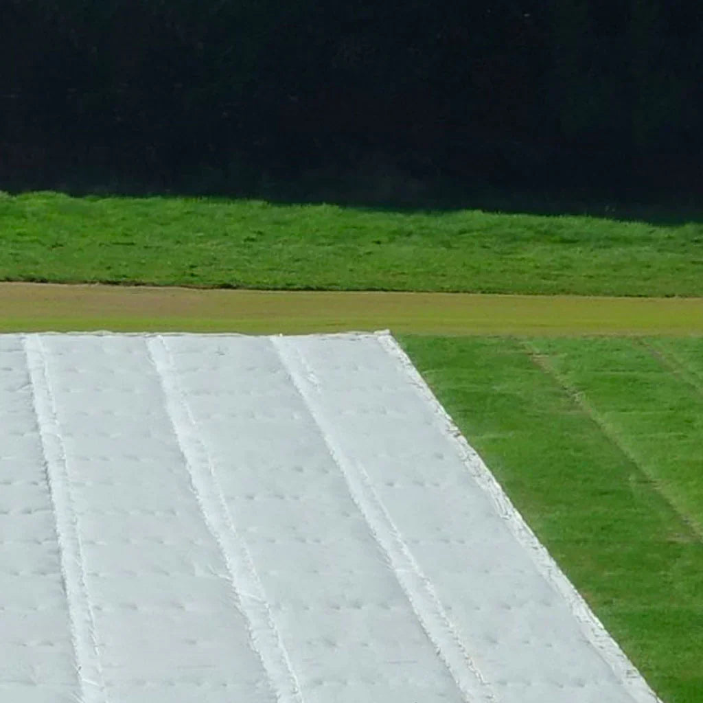 Light Gray Professional-Grade Germination Sheets for Fast & Healthy Growth