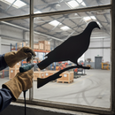 Black Premium Pigeon Silhouette 225mm x 225mm for Bird Control and Decoy Applications - High-Quality Professional Grade for Industrial and Commercial App...