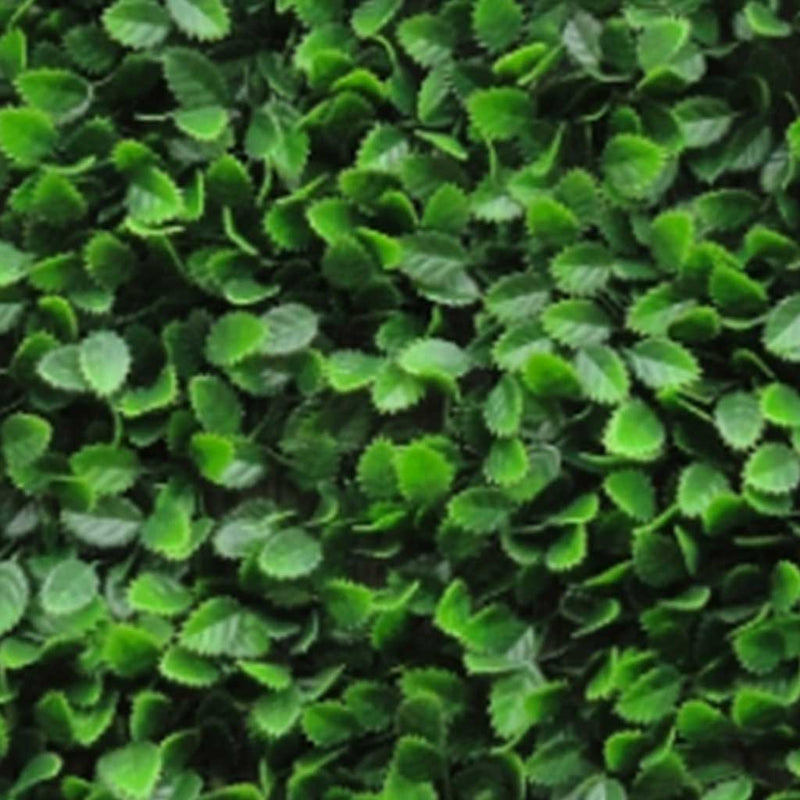 Dark Green Versatile and Stylish Beech Fagus Sylvatica Hedge Tiles - 51cmx51cm