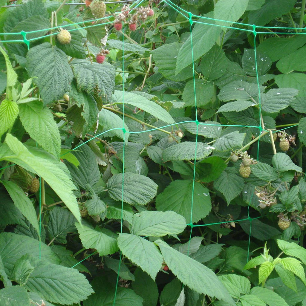 Sea Green UV-Stabilised Extruded Plant Support Netting Durable & Rot-Proof