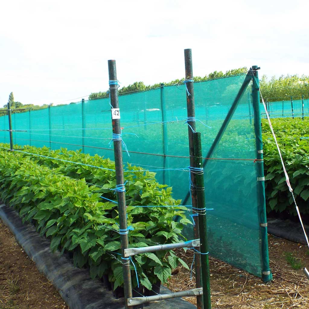 Dark Slate Gray Efficient Crop Shading With 47% Shade Netting Improve Plant Vitality