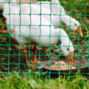 Dark Olive Green Multi-Purpose Flexible Square Garden Mesh 50mm