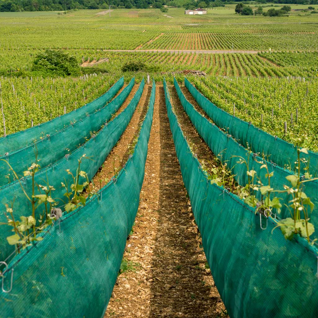Dark Olive Green Maximize Growth and Comfort With 30% Shade Netting For Agriculture and Livestock