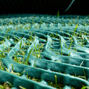 Dark Slate Gray Premium Extra Heavy-Duty Grass Reinforcement Mesh Ground Protection and Stability