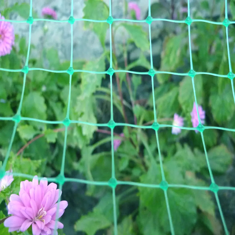 Sea Green UV-Stabilised Extruded Plant Support Netting Durable & Rot-Proof