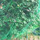 Sea Green UV-Stabilised Extruded Plant Support Netting Durable & Rot-Proof