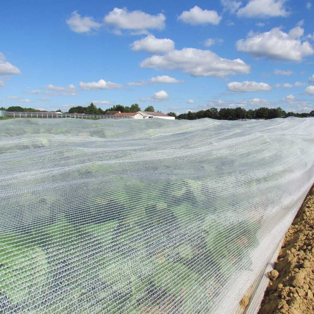 Dark Gray UV Stabilized Maxi Net Rot-Resistant and Easy-to-Install Garden Netting