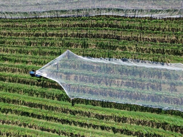 Dim Gray UV Stabilized Maxi Net Rot-Resistant and Easy-to-Install Garden Netting