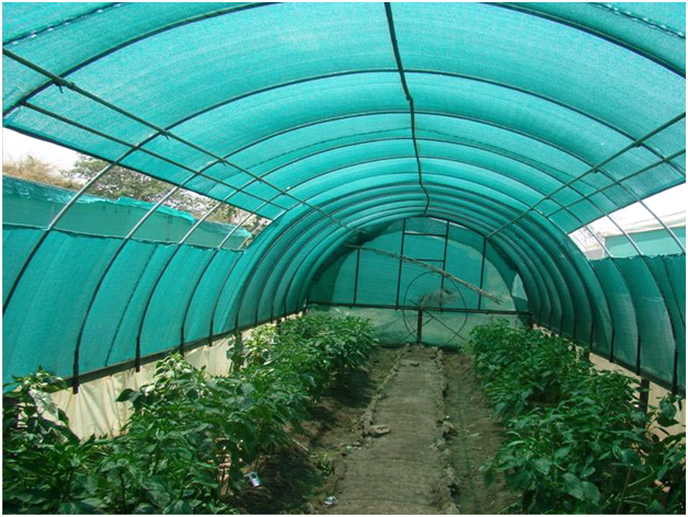 Light Sea Green Efficient Crop Shading With 47% Shade Netting Improve Plant Vitality