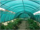 Light Sea Green 30% Shade Netting – HDPE Agricultural & Livestock Mesh | UV Stabilised, Durable, Windbreak & Temperature Control