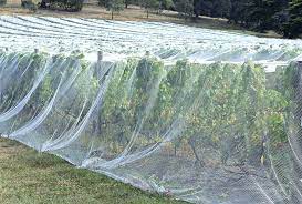 Light Slate Gray UV Stabilized Maxi Net Rot-Resistant and Easy-to-Install Garden Netting