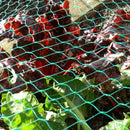 Dark Slate Gray Economy Diamond Bird Netting Efficient and Affordable Bird Control Option