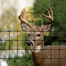 Dark Olive Green Durable 50mm x 50mm Deer Fence Ideal for Containing or Excluding Deer in Any Area