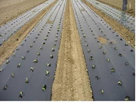 Slate Gray Biodegradable Mulching Film Eco-Friendly Weed Control Solution