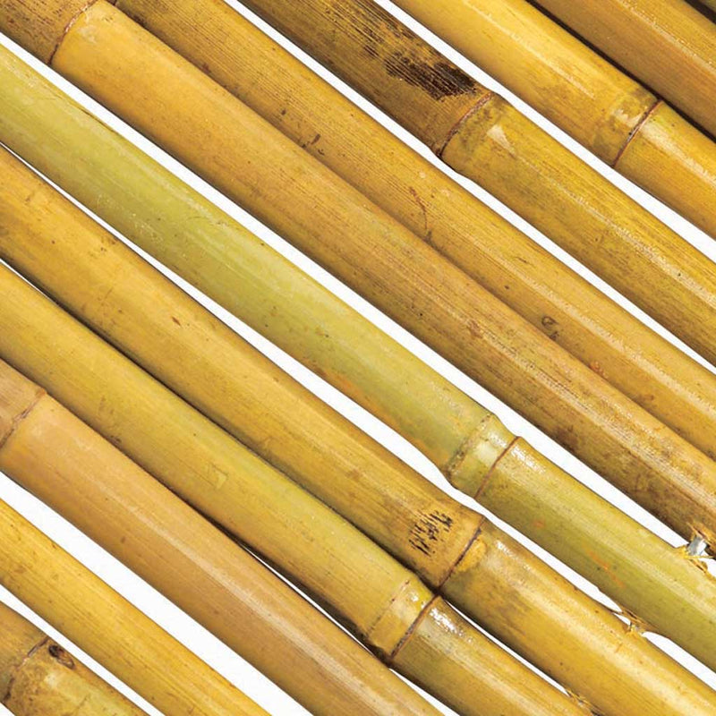 Goldenrod Durable Bamboo Canes Plant Support 120cm For Gardens and Greenhouses