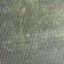 Dark Olive Green Durable Woven Insect Netting Fine HDPE UV Stabilised 75gsm Tear-Resistant Protection